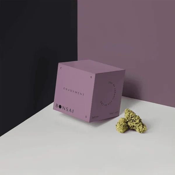 Custom Marijuana Packaging Boxes - Image 2