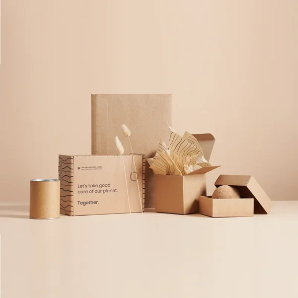 Eco Friendly Subscription Boxes - Image 6