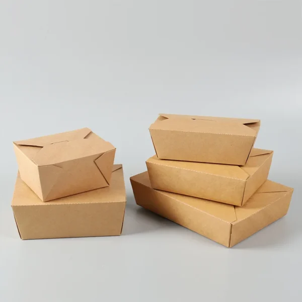 Eco Friendly Takeaway Boxes - Image 4